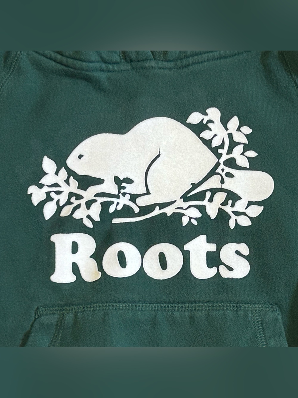 Roots Kids Forest Green Beaver Logo Hoodie | Size 5–6 Years - Picture 3 of 7